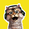 ケモノV主猫田さん🙀🎮ゲーム配信