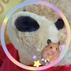 (ぷぅʚ*ɞさん)