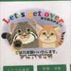 🐈シャリフ🐼