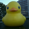 ゴジョウのご冗談