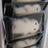 色んな人
