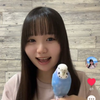 🌟どんがめ🐢ひまたん推し〜🐰🪄🌻🦜〜