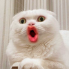 siokara