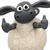 🐑