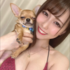 白石陽菜🤍🍯おもち🐶F
