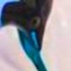 醤油瓶