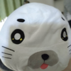 ゴマちゃん✨