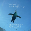北極ペンギン🕳💦