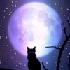 MOON・明日香