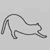 🐱