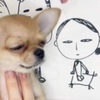 jun｜陽菜Fシンおもち🐶応援F一葉🤍🍯