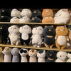 こあらさん🐨
