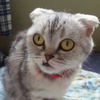 にこぷん