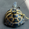 ビンゴ🍎🐢
