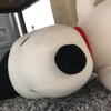 ぴよ