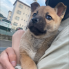 yukito