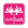 Lycoris Radiata