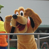 たぬパパ