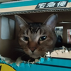 onaka