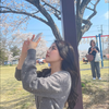 かれん