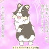 ケンケン🐶