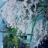 hirokoヒロリン