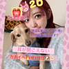 みかりん🐶ྀི🧇#3/27~月刊わんこAD
