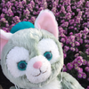 のーちゃん🐶🌷🎀[あや花📣]