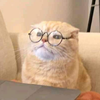 ペイ