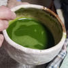 植物園🌿