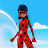 ladybug