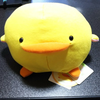 ピヨピヨ🐣🌙🎶