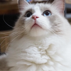 フミヤ