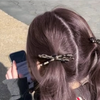 さや