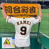 kame🤙⚾️🌙