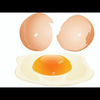 egg