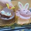 🧸🧸いかび🧸🧸