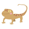 ばった