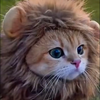 ひらがなばんじー