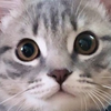 まさき