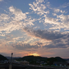 ワサビ