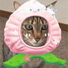 すう