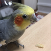 ユーザーアイコン