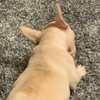 なな