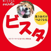 びすた