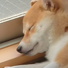 なまえ