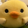 ⭐️しぱくん⭐️
