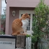 kento（推し◯）