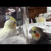 takuto＆ri-