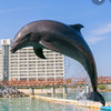 🐬たけやん🐬🍒